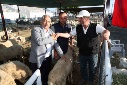 Talas’ta Kurban Pazarı başvuru tarihi belli oldu