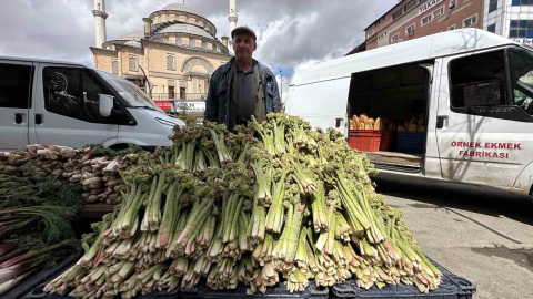 Yüksekova’da ‘yayla muzu’ mesaisi başladı