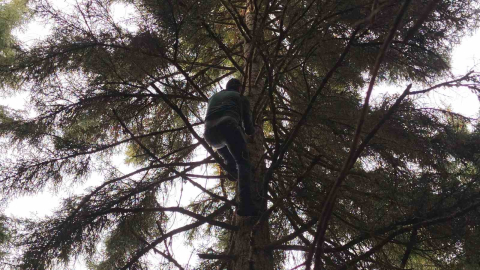 Artvin’de 40 metrelik göknar ağacının tepesine takılan dronu böyle kurtardılar