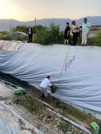 Sulama havuzuna düşen 5 yavru köpeği belediye ekipleri kurtardı