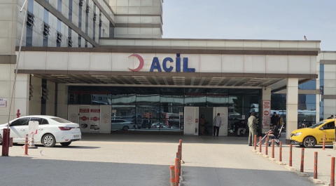 Baharla birlikte gelen kabus