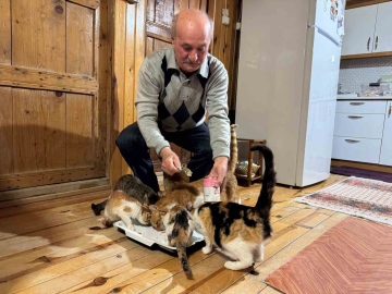 Sokak kedilerine evinin kapısını açtı, onlara yuva oldu