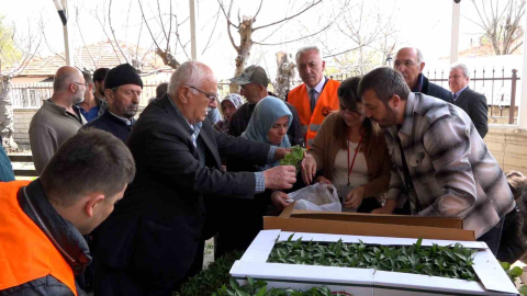 Atakumlu çiftçiye 100 bin sebze fidesi