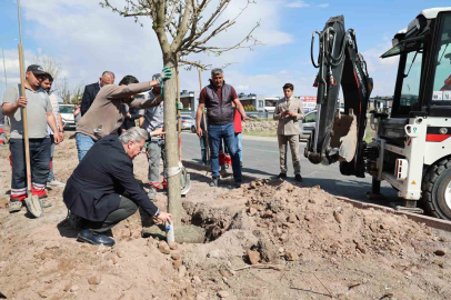 Melikgazi, ağaçlandırma çalışmaları ile geleceğe daha yeşil bir miras bırakıyor