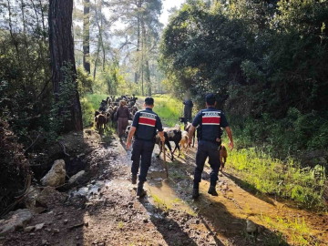 Antalya’da sürüden ayrılıp kaybolan 41 keçi jandarma tarafından bulundu