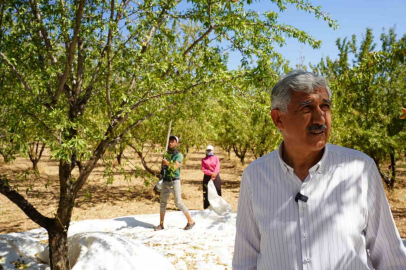 Başkan Hallaç’tan 1 Mayıs Emek ve Dayanışma Günü mesajı