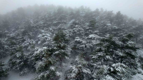 Tokat’ta bahar ortasında yağan kar mest etti