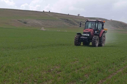 Ahlat’ta buğday tarlalarında gübre mesaisi