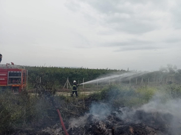 Hassa’da zeytinlik  yangını