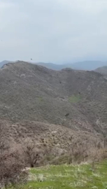 Şırnak’ta kartalın domuz avı kamerada