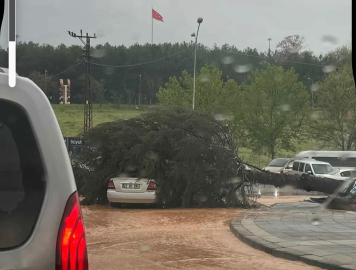 Çatılar uçtu, ağaçlar devrildi, park halindeki araçlar büyük zarar gördü