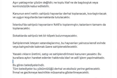 İstanbul Valisi Davut Gül: "Sahipsiz hayvanların yüzde 46’sı toplanmıştır; kalanların tamamı da toplanacaktır"
