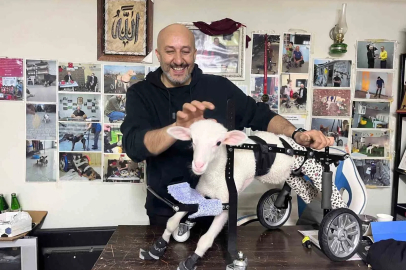 Demir ustası felçli canlara ’umut’ oluyor: 9 yılda bin hayvanı ayağa kaldırdı
