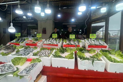 Alaplı balıkçı tezgahlarında çeşit bitti mezgit fiyatı 500 liraya çıktı
