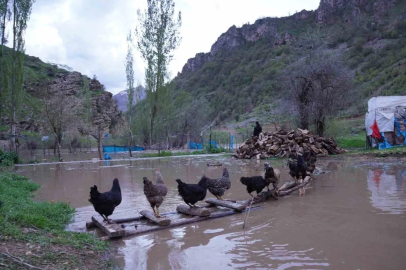Şırnak’ta sel suları köprüleri yıktı, ev ve ahırlar sular altında kaldı
