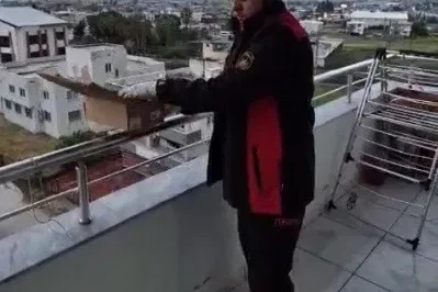 Osmaniye’de aspiratör borusuna giren 3 kırlangıç kurtarıldı
