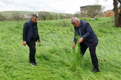 Hububatı ‘süper hücre’ vurdu

