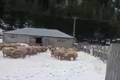 Kar kalınlığı 1 metreye ulaştı, mahsur kalan vatandaş kurtarıldı
