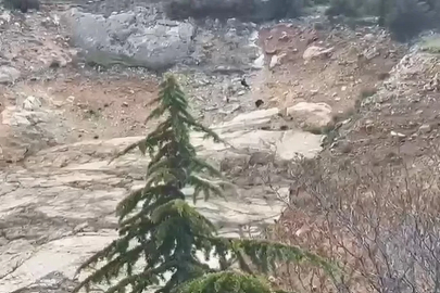 Eğirdir’de tırmandıkları kayalıklarda mahsur kalan çocuklar kurtarıldı

