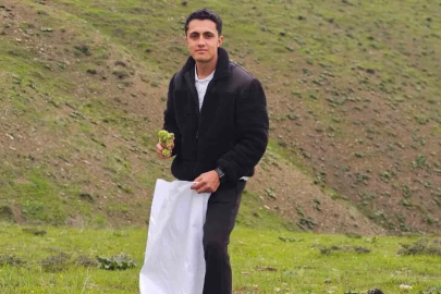 Muş’ta "Yayla muzu" mesaisi başladı
