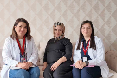 Elazığ’da ’Her Gebeye Bir Ebe’ uygulaması
