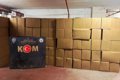 Bursa’da rekor kaçak makaron operasyonu
