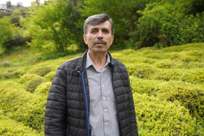 Yaş çay sezonuna sayılı günler kala üreticiler hazırlıklarını sürdürüyor
