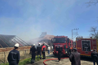 Ordu’da 3 katlı binada yangın
