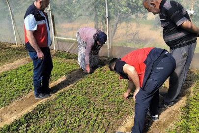 Emet’te seralarda inceleme ve bilgilendirme faaliyetleri
