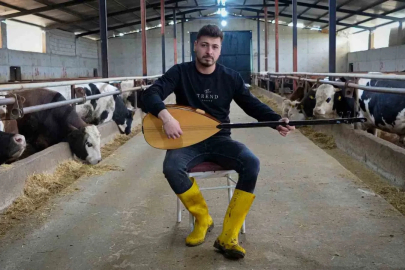 Ankaralı besici kurbanlık hayvanlarına saz çalıp, türkü söylüyor
