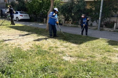 Didim Belediyesi ekipleri ilçe genelindeki çalışmalarını sürdürüyor
