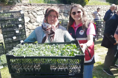 Hanönü’de çiftçilere 30 bin fide dağıtıldı
