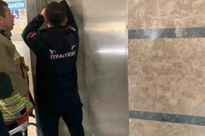 Asansör boşluğuna düşen yavru kediyi itfaiye kurtardı
