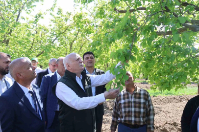 TZOB Genel Başkanı Bayraktar: "Iğdır’daki kayısı bahçelerimiz dondan zarar gördü"

