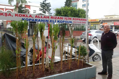Annesinin çok sevdiği çiçeği, iş yerinin önünde mezarı andıran alanda 40 yıldır yaşatıyor
