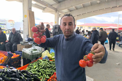 Domates fiyatlarının yüksek olmasının sebebi soğuk hava
