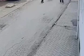 Bir anda koşup havlayan köpek küçük çocuğu korkuttu
