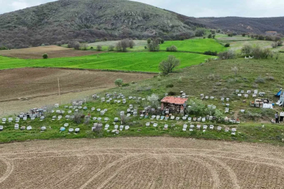 Dedesinden öğrendiği mesleği köyünde sürdürüyor
