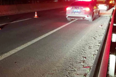 Yola çıkan atlar zincirleme kazaya neden oldu
