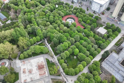 Kayseri’de 300 bin kök organik domates fidesine yoğun ilgi
