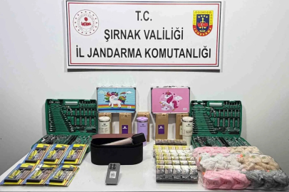 Şırnak’ta jandarmadan asayiş, kaçakçılık ve narkotik operasyonu
