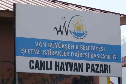 Van’da hayvan pazarında silahlı kavga: 1 ölü, 13 yaralı
