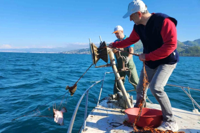 Kalkan av yasağı denetimlerinde 3 bin metre ağa el konuldu
