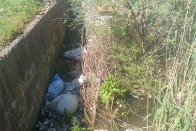Gölbaşı’nda köylüler kanalların ilaçlanmasını istiyor

