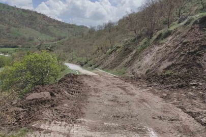 Heyelandan dolayı kapanan tabiat parkı yolu ulaşıma açıldı
