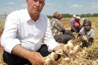 Hasan Altun’dan ’14 Mayıs Dünya Çiftçiler Günü’ mesajı

