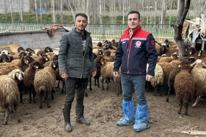 Aydıntepe’de kırsal üretimi destekleyen projede kontroller sürüyor
