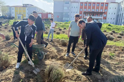 Çavdarhisar’da öğrenciler okulun tarım alanına lavanta fidanı dikti
