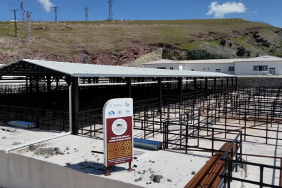 Elazığ’da kurban satış ve kesim alanlarında çalışmalar başladı
