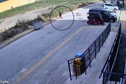 Sokak köpeklerinin saldırdığı 7 yaşındaki çocuk korku dolu anlar yaşadı
